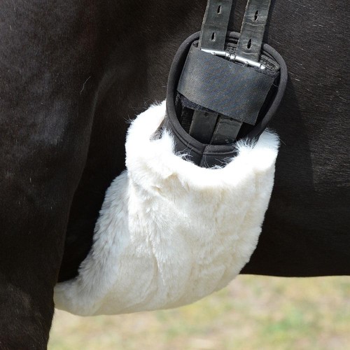 Equest sattelgurt schoner - equest,